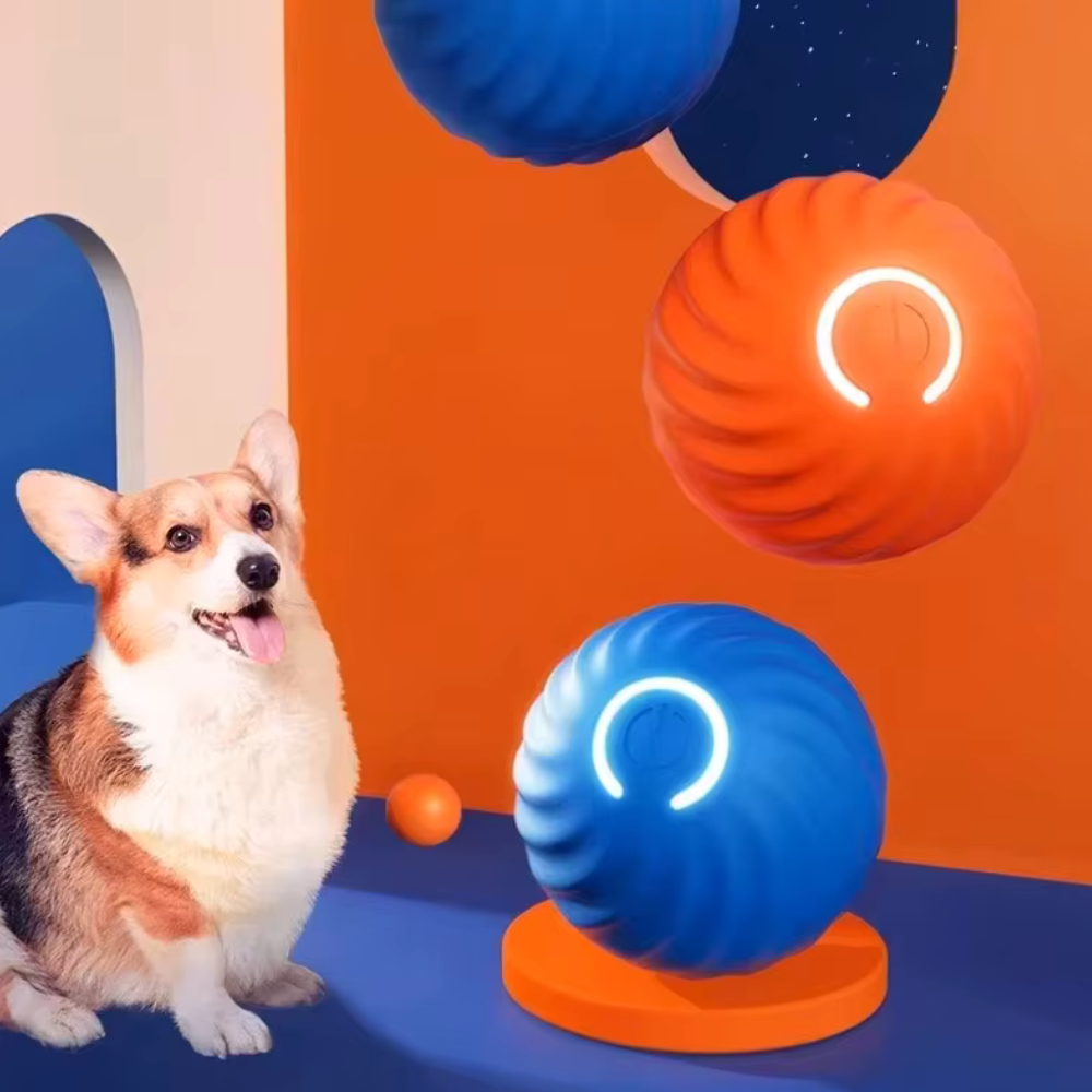 Ballblixt -Ein Spielzeug, das deiner Fellnase wirklich guttut