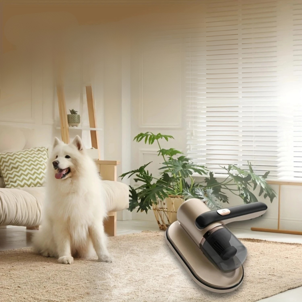 Luxoro - Entfernt Schmutz gründlich und effizient für sichtbar bessere Sauberkeit